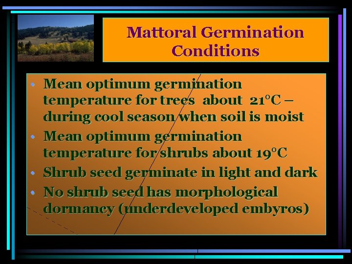 Mattoral Germination Conditions • Mean optimum germination temperature for trees about 21°C – during