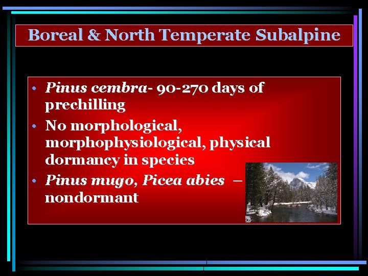 Boreal & North Temperate Subalpine • Pinus cembra- 90 -270 days of prechilling •