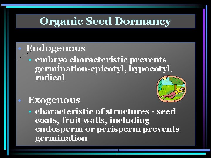 Organic Seed Dormancy • Endogenous • embryo characteristic prevents germination-epicotyl, hypocotyl, radical • Exogenous