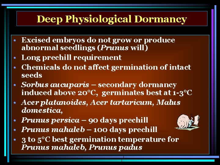 Deep Physiological Dormancy • Excised embryos do not grow or produce abnormal seedlings (Prunus