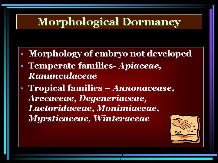 Morphological Dormancy • Morphology of embryo not developed • Temperate families- Apiaceae, Ranunculaceae •