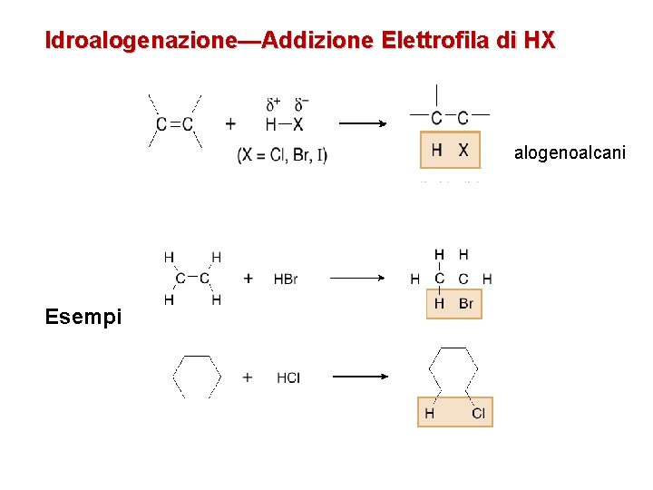 Idroalogenazione—Addizione Elettrofila di HX alogenoalcani Esempi 