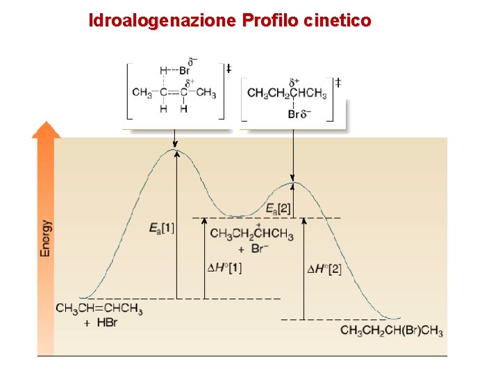 Idroalogenazione Profilo cinetico 18 