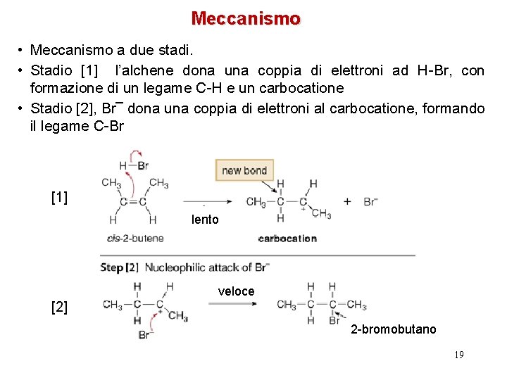 Meccanismo • Meccanismo a due stadi. • Stadio [1] l’alchene dona una coppia di