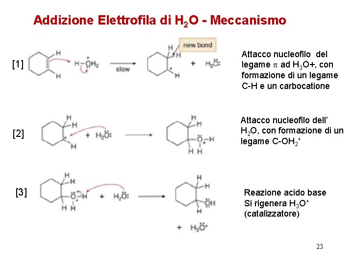 Addizione Elettrofila di H 2 O - Meccanismo [1] [2] [3] Attacco nucleofilo del