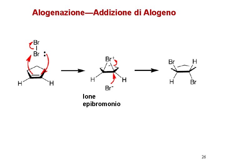 Alogenazione—Addizione di Alogeno Ione epibromonio 26 
