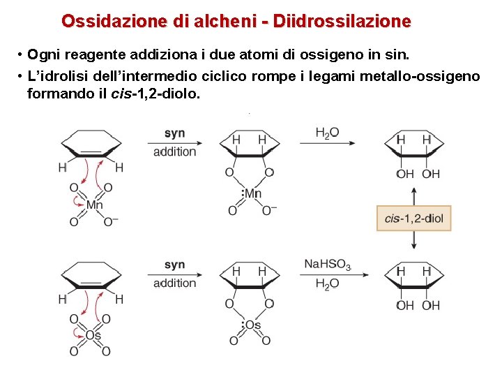 Ossidazione di alcheni - Diidrossilazione • Ogni reagente addiziona i due atomi di ossigeno