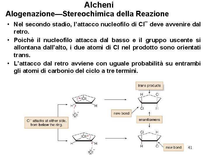 Alcheni Alogenazione—Stereochimica della Reazione • Nel secondo stadio, l’attacco nucleofilo di Cl¯ deve avvenire