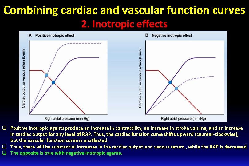 Combining cardiac and vascular function curves 2. Inotropic effects q Positive inotropic agents produce