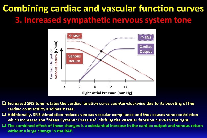 Combining cardiac and vascular function curves 3. Increased sympathetic nervous system tone q Increased