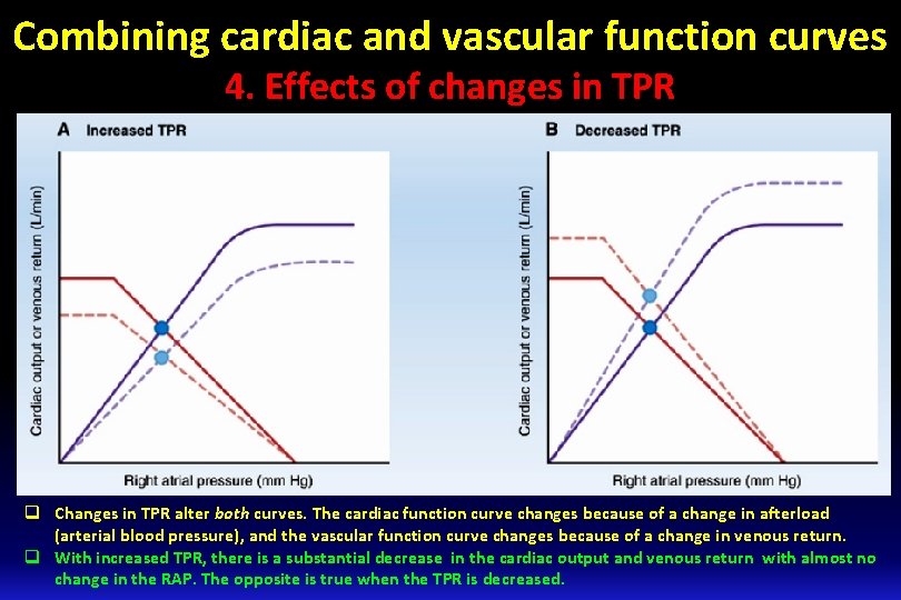 Combining cardiac and vascular function curves 4. Effects of changes in TPR q Changes