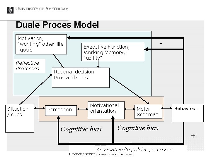 Duale Proces Model Motivation, “wanting” other life -goals Reflective Processes Situation / cues -