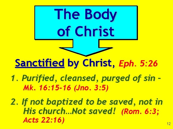 The Body of Christ Sanctified by Christ, Eph. 5: 26 1. Purified, cleansed, purged