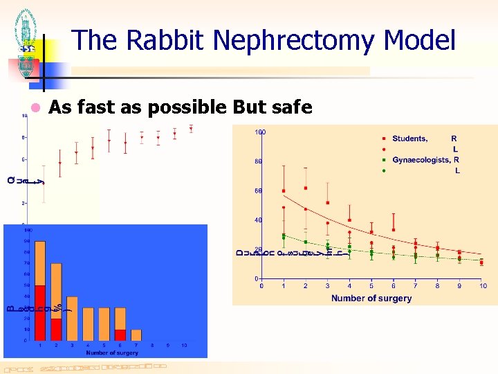 The Rabbit Nephrectomy Model l As fast as possible But safe 
