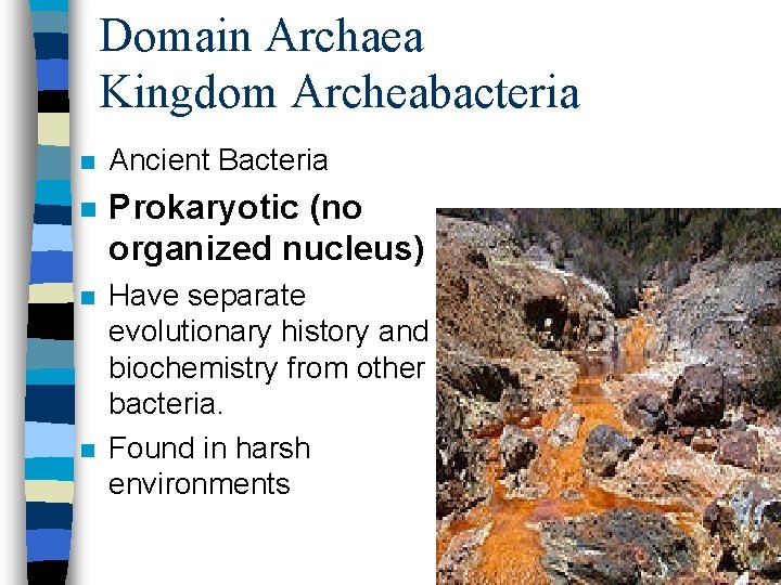 Domain Archaea Kingdom Archeabacteria n Ancient Bacteria n Prokaryotic (no organized nucleus) n Have