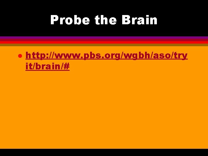 Probe the Brain l http: //www. pbs. org/wgbh/aso/try it/brain/# 