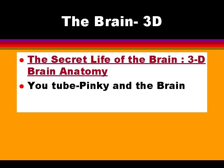 The Brain- 3 D l l The Secret Life of the Brain : 3