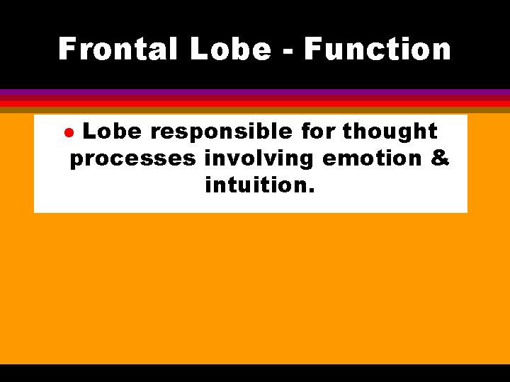 Frontal Lobe - Function Lobe responsible for thought processes involving emotion & intuition. l