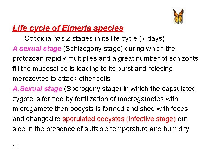 Life cycle of Eimeria species Coccidia has 2 stages in its life cycle (7