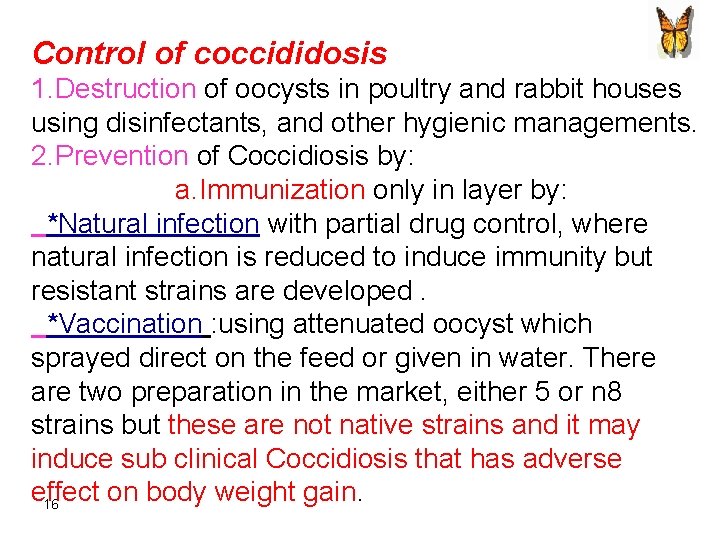 Control of coccididosis 1. Destruction of oocysts in poultry and rabbit houses using disinfectants,
