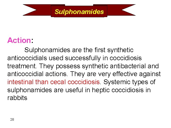 Sulphonamides Action: Sulphonamides are the first synthetic anticoccidials used successfully in coccidiosis treatment. They