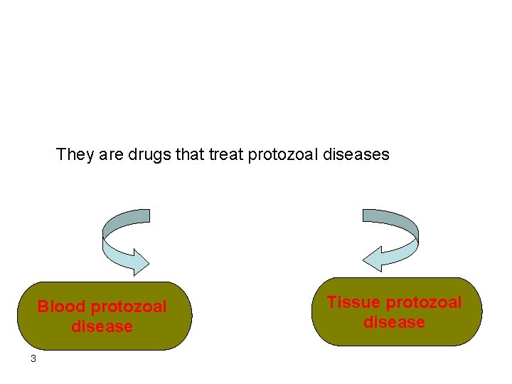 They are drugs that treat protozoal diseases Blood protozoal disease 3 Tissue protozoal disease