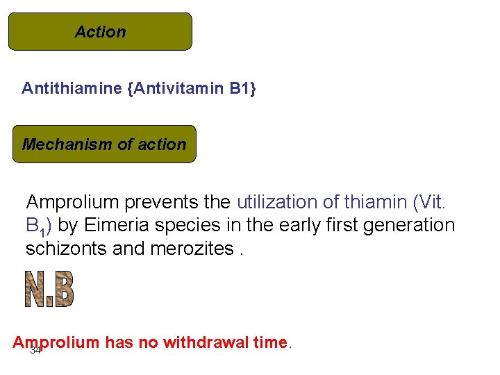 Action Antithiamine {Antivitamin B 1} Mechanism of action Amprolium prevents the utilization of thiamin