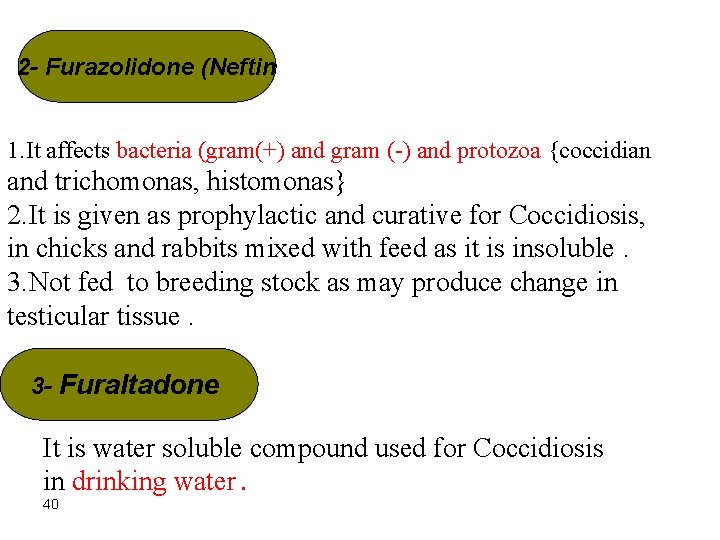 2 - Furazolidone (Neftin 1. It affects bacteria (gram(+) and gram (-) and protozoa