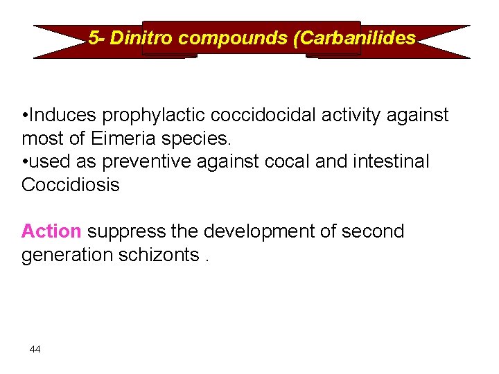 5 - Dinitro compounds (Carbanilides • Induces prophylactic coccidocidal activity against most of Eimeria
