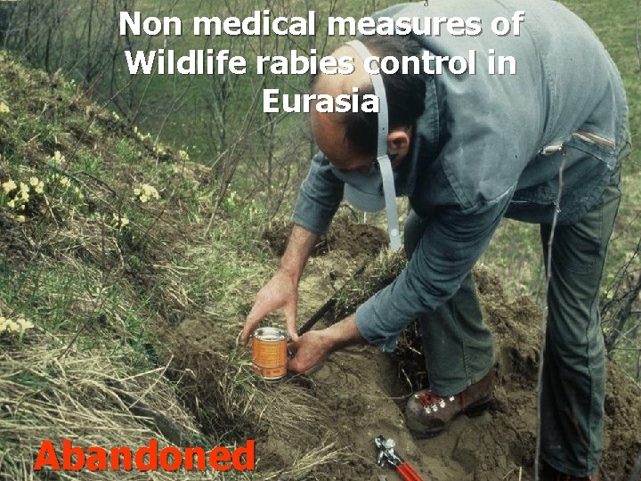 Non medical measures of Wildlife rabies control in Eurasia Abandoned 14 