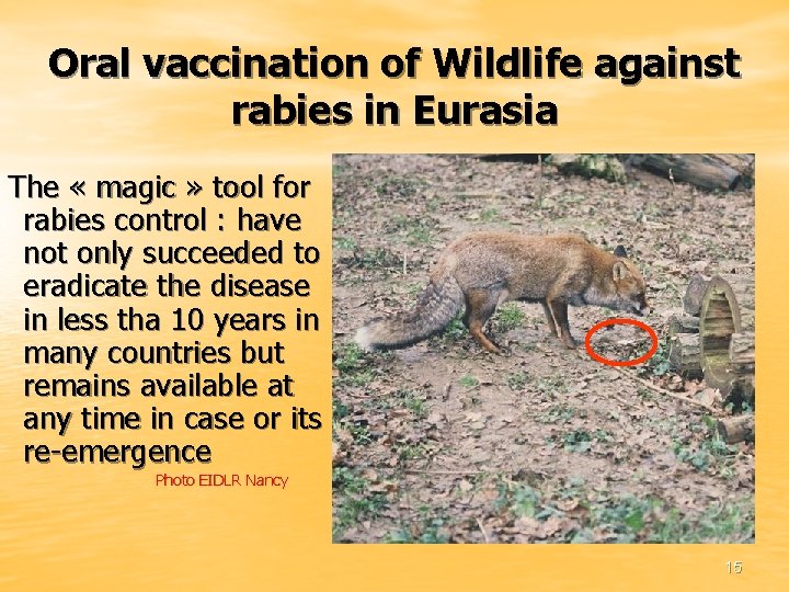 Oral vaccination of Wildlife against rabies in Eurasia The « magic » tool for