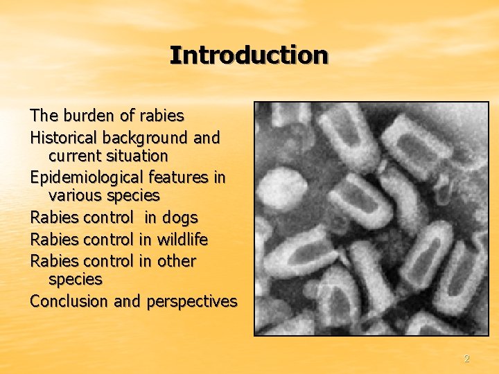 Introduction The burden of rabies Historical background and current situation Epidemiological features in various