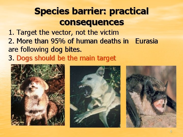 Species barrier: practical consequences 1. Target the vector, not the victim 2. More than