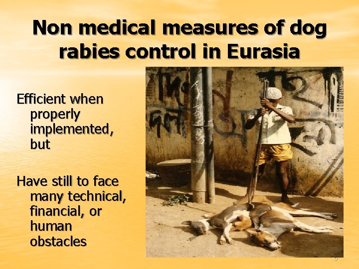 Non medical measures of dog rabies control in Eurasia Efficient when properly implemented, but