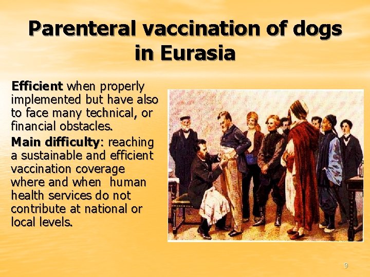Parenteral vaccination of dogs in Eurasia Efficient when properly implemented but have also to