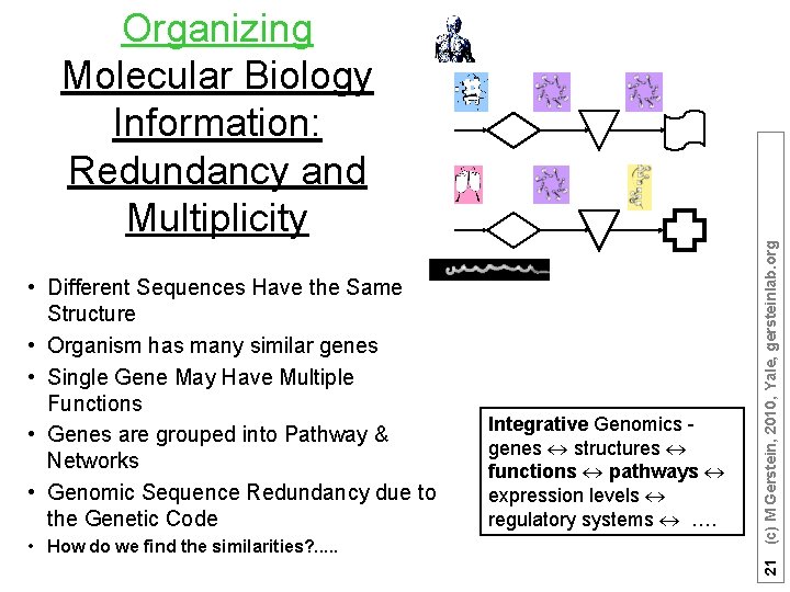  • Different Sequences Have the Same Structure • Organism has many similar genes