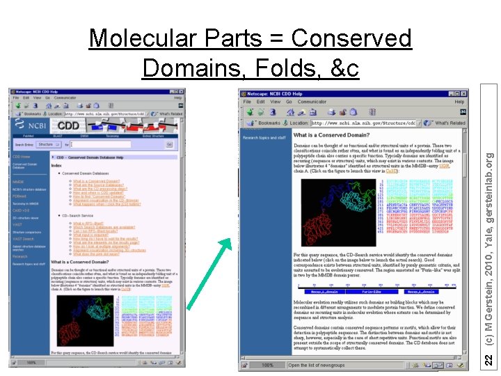 22 (c) M Gerstein, 2010, Yale, gersteinlab. org Molecular Parts = Conserved Domains, Folds,