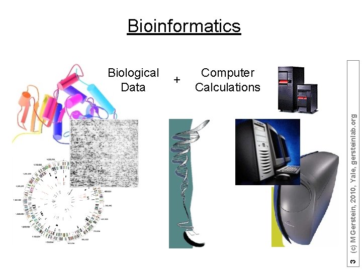 Bioinformatics + Computer Calculations 3 (c) M Gerstein, 2010, Yale, gersteinlab. org Biological Data