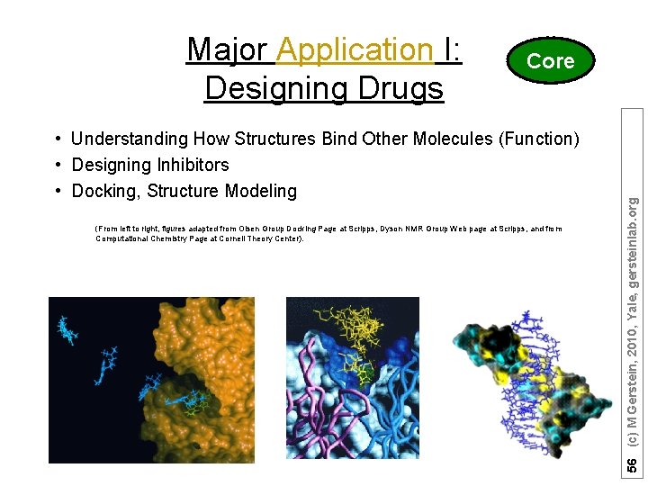 Core • Understanding How Structures Bind Other Molecules (Function) • Designing Inhibitors • Docking,