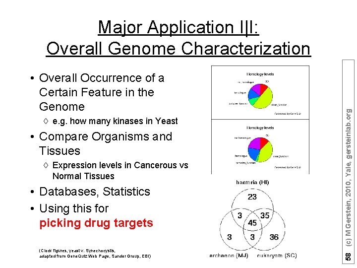  • Overall Occurrence of a Certain Feature in the Genome à e. g.