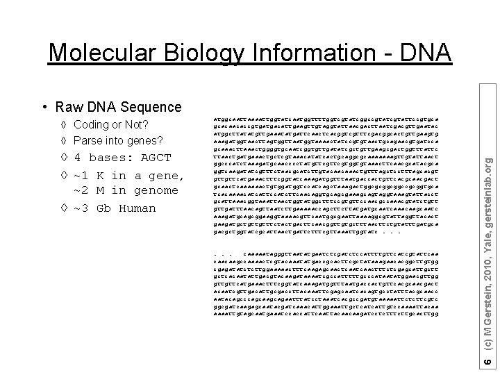 Molecular Biology Information - DNA à Coding or Not? à Parse into genes? à