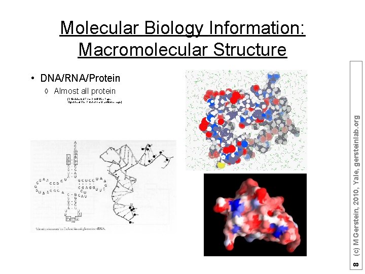 Molecular Biology Information: Macromolecular Structure • DNA/RNA/Protein à Almost all protein 8 (c) M