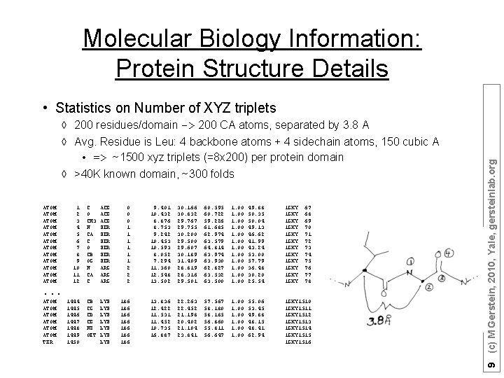 Molecular Biology Information: Protein Structure Details à 200 residues/domain -> 200 CA atoms, separated