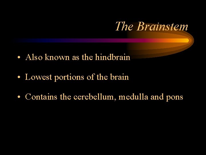 The Brainstem • Also known as the hindbrain • Lowest portions of the brain