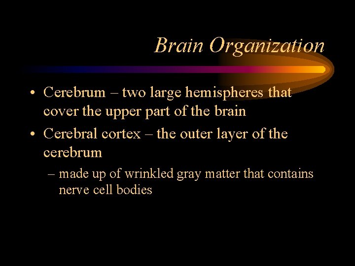 Brain Organization • Cerebrum – two large hemispheres that cover the upper part of