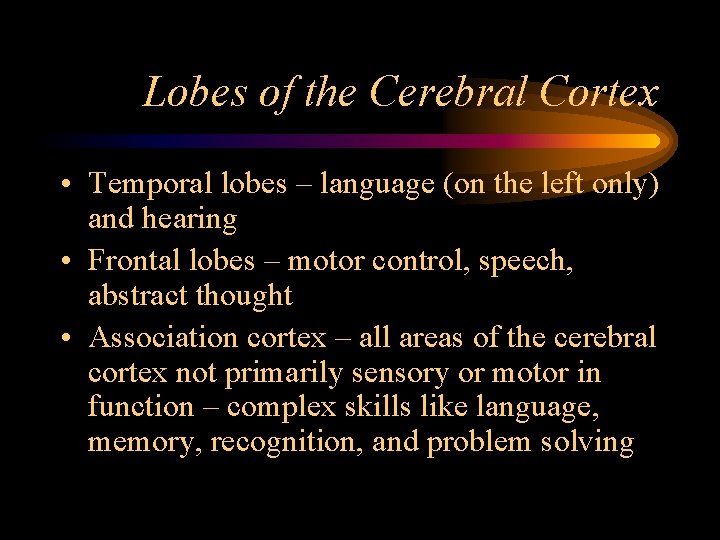 Lobes of the Cerebral Cortex • Temporal lobes – language (on the left only)