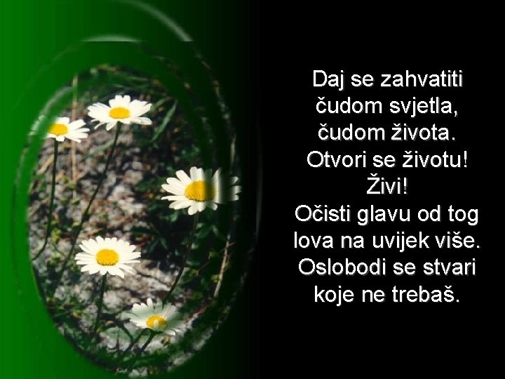 Daj se zahvatiti čudom svjetla, čudom života. Otvori se životu! Živi! Očisti glavu od