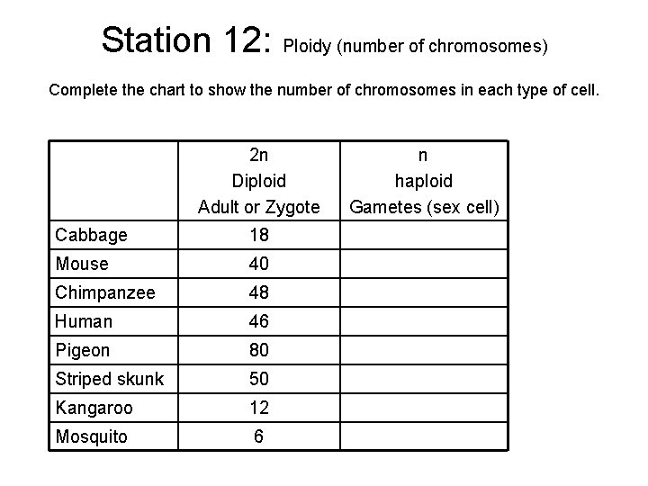 Station 12: Ploidy (number of chromosomes) Complete the chart to show the number of
