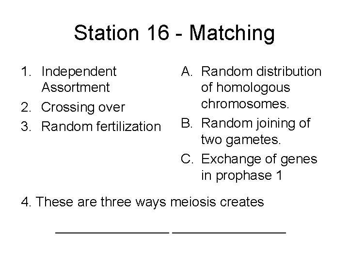 Station 16 - Matching 1. Independent Assortment 2. Crossing over 3. Random fertilization A.