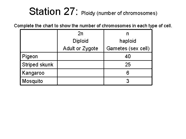 Station 27: Ploidy (number of chromosomes) Complete the chart to show the number of